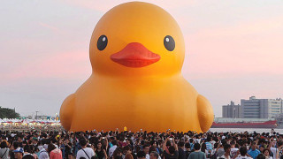 Large rubber ducky beach event - ducky free wallpaper