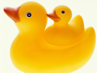 Rubber ducks white surface red - a red nose free wallpaper