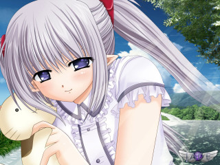 Girl holding cat tree sky - her hand and a tree in the background free wallpaper