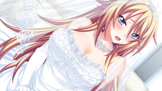 Bride longhair whiteveil tiara dutchangle - a tiara free wallpaper