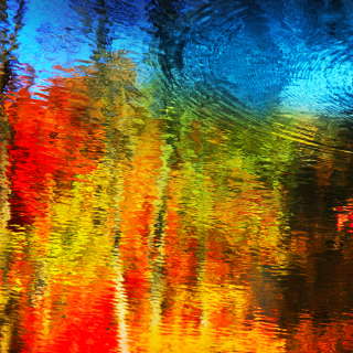 Colorful reflection trees water sky - water free wallpaper for tablet