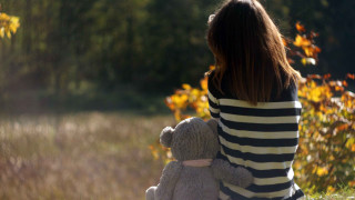Woman bench teddy bear forest - yellow leaf free wallpaper