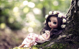 Doll sitting tree woods flowers 2 - the ground next free wallpaper