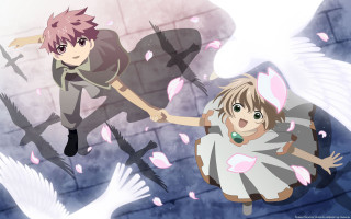 Anime characters flying bird pink - pink petal free wallpaper