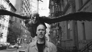 Man bird woman shoulders large - a large bird free wallpaper for desktop