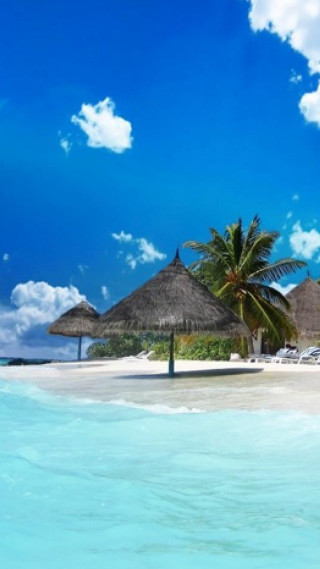 Beach umbrella chairs palm sky - free beach wallpaper for mobile
