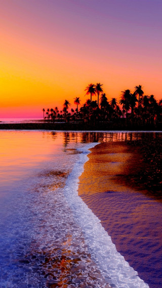 Beach sunset palm trees water 3 - free sunset wallpaper for mobile