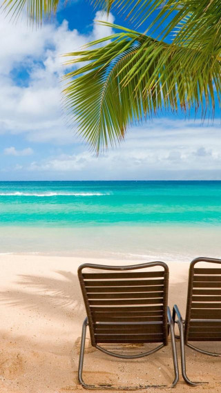 Chairs beach ocean palm tree - free beach wallpaper for mobile