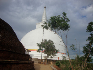 Large white building tree sky - a tree in front free wallpaper