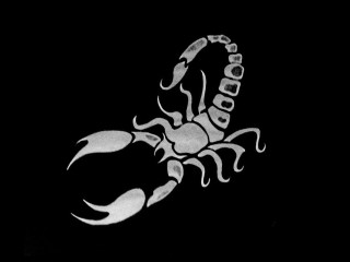 Scorpion tattoo black background white - fabien charuau free wallpaper