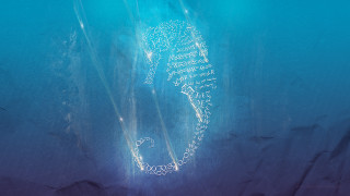 Sea horse swimming blue background - a white line free wallpaper for desktop