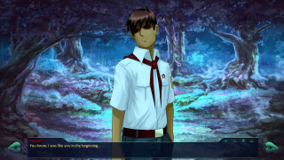 Boy white shirt tie forest - a boy free wallpaper