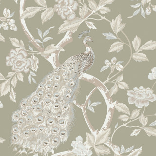 Peacock branch flowers leaves backside - back free wallpaper for tablet