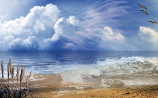 Beach wave crashing birds flying - overhead in the sky above free wallpaper