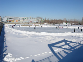 People playing snow building fence - danube school free wallpaper