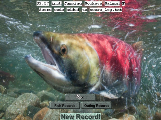 Fish swimming water rocks caption - a caption below free wallpaper for desktop