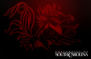 Red black background red bird - ilm free wallpaper