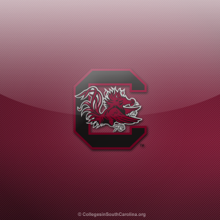 College southcarolina logo red black - ilm free wallpaper for tablet