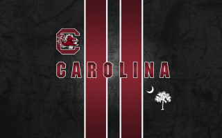 Carolina logo palm tree crescent - clark voorhees free wallpaper