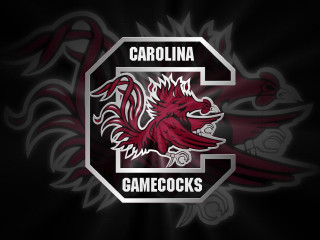 South carolina gamecocks logo black - ilm free wallpaper