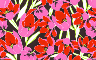 Red flower center pink green - the center of the picture free wallpaper