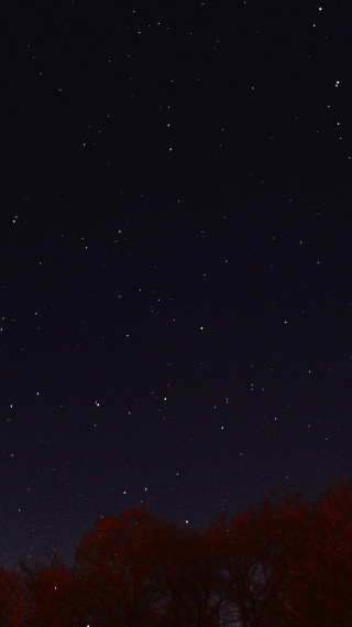 Night sky stars trees building - a clock tower free wallpaper