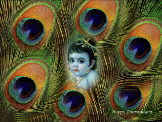Child peacock feathers happy janmasan - canvas painting free wallpaper