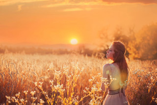 Woman field tall grass sunset - the sun setting behind her free wallpaper
