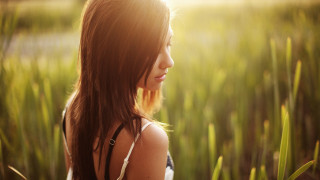 Woman field grass sunshine hair - her face and hair free wallpaper