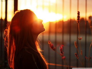 Woman fence sunset hair blowing - a fence free wallpaper for desktop