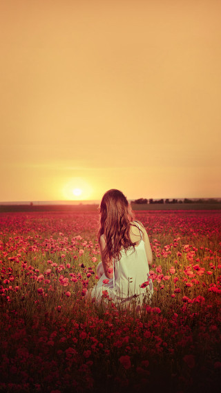 Girl sitting field flowers sunset - a field of flowers free wallpaper for mobile