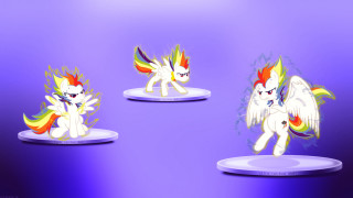 Unicorn winged figurines rainbow mane - epic scale free wallpaper for desktop