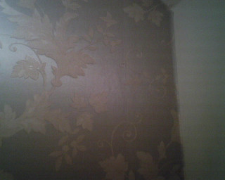 Bathroom toilet wallpaper leaves vines - side wall free wallpaper