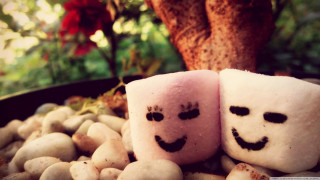Marshmallows with faces on rocks - farid mansour free wallpaper