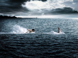 Man swimming ocean shark boat 2 - a boat in the distance free wallpaper