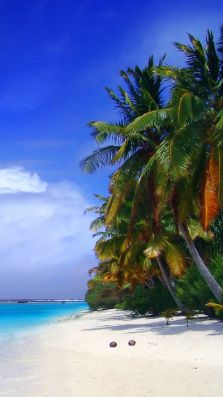 Beach boat palm trees sky - free 3d render wallpaper