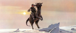 Camel rider snowfield bird drew - solo free wallpaper