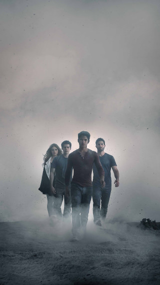 Foggy field group black white - free seasons wallpaper for mobile