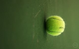 Tennis ball wall green background - a white line free wallpaper