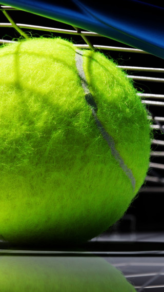 Tennis ball racket forest grass - a tennis ball free wallpaper