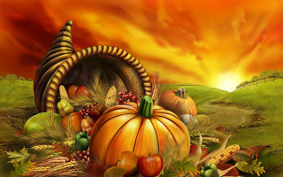 Turkey pumpkin autumn field cornucopia - fall vibrancy free wallpaper for desktop