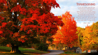Road tree orange red leaves - a poem free wallpaper