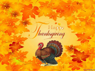 Turkey happy thanksgiving card leaves - a turkey free wallpaper