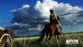 Man riding horse field wagon - a horse in a field free wallpaper