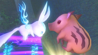 Animated animals forest nighttime lights - animated free wallpaper