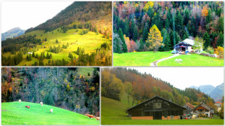 Mountain house forest animals series - a sery of photos free wallpaper for desktop