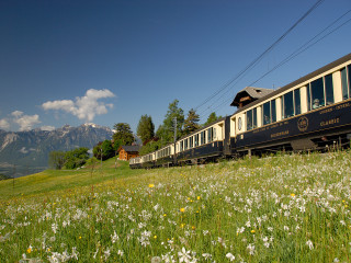 Train traveling lush green countryside - a train traveling free wallpaper