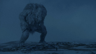 Furry animal snow night moon - ground free wallpaper