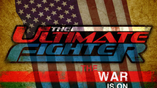 Ultimate fighter american flag grungy - ultimate free wallpaper for desktop