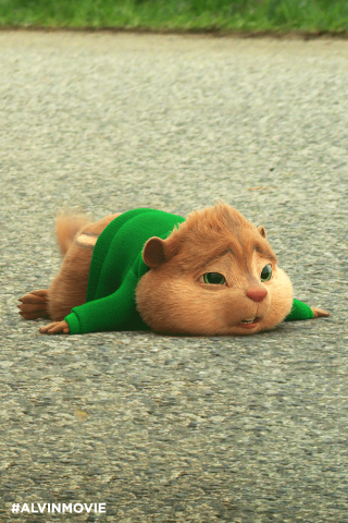 Cat laying green shirt wide - wide free wallpaper for mobile